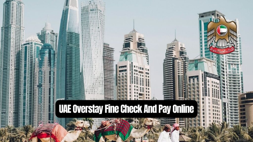 UAE Overstay Fine Check And Pay Online